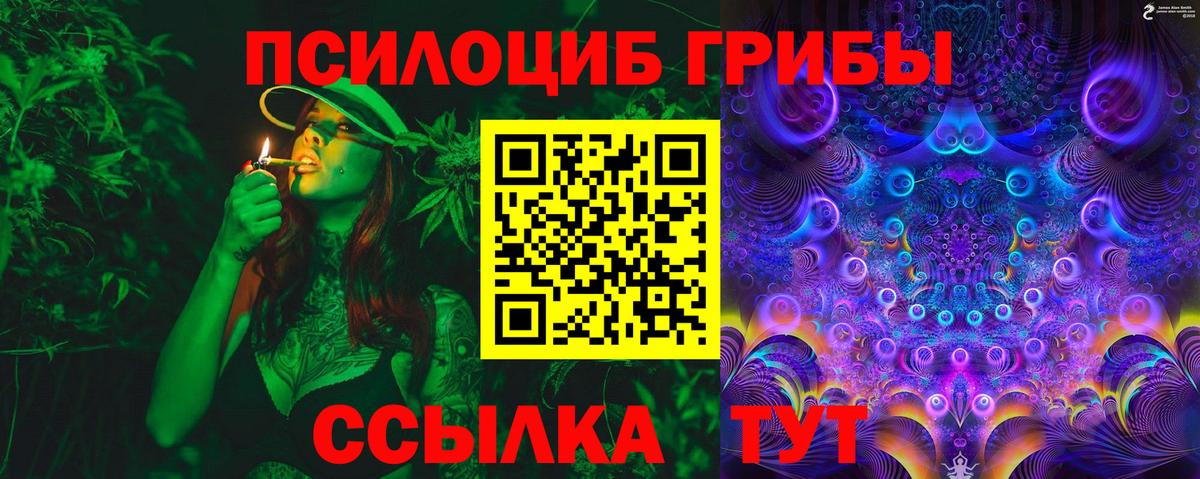 Янаул  Галлюциногенные грибы Psilocybine cubensis  Вход с VPN 