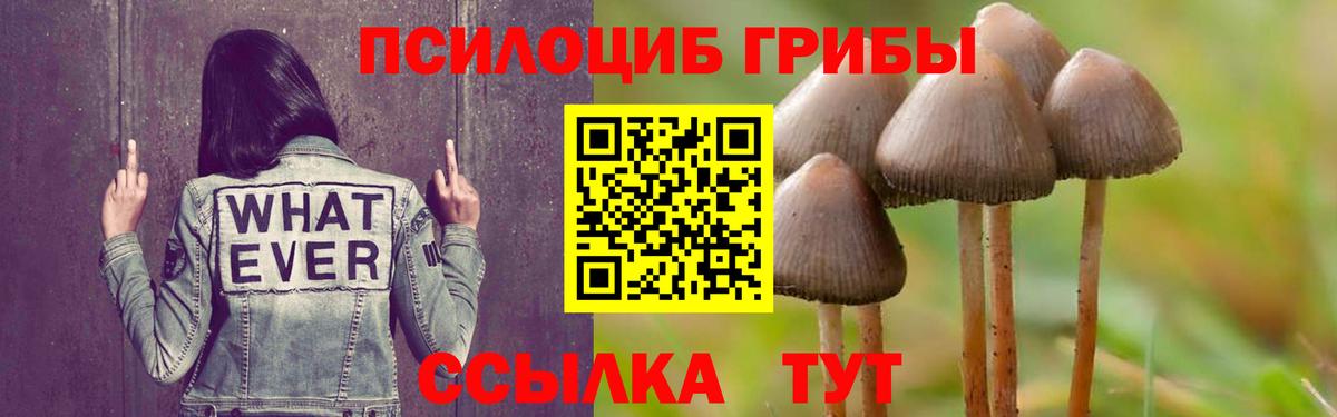 Псилоцибиновые грибы MAGIC MUSHROOMS Янаул